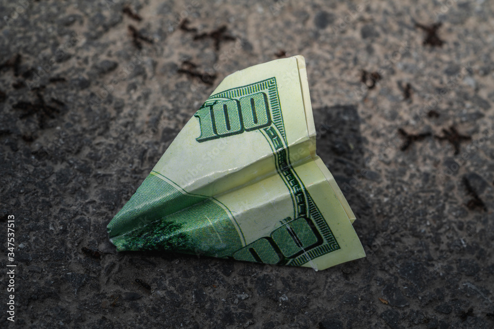 US Dollar Airplane on the pavement with ants