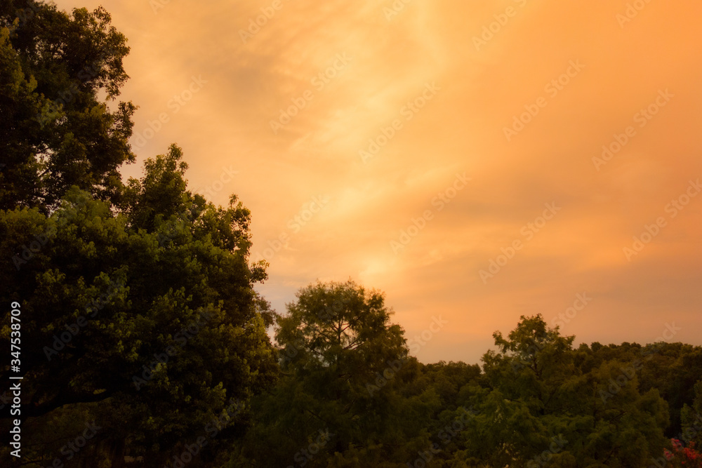 sunset clouds over trees