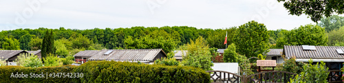 view into a allotment gardens, hedges left and right, roof of tiny houses