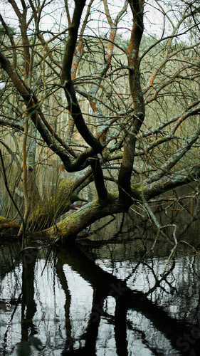 ainsdale photo