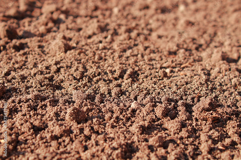 Fertile land in the garden. Close-up. Horizontal perspective view. Background. Texture. Fertile land in the garden. Close-up. Horizontal perspective view. Background. Texture.