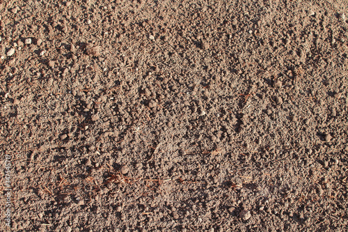 Dry soil in the garden. Close-up. Background. Texture.
