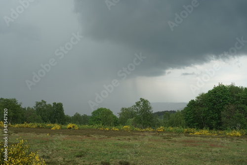 Landscape during a rain shower with genitor