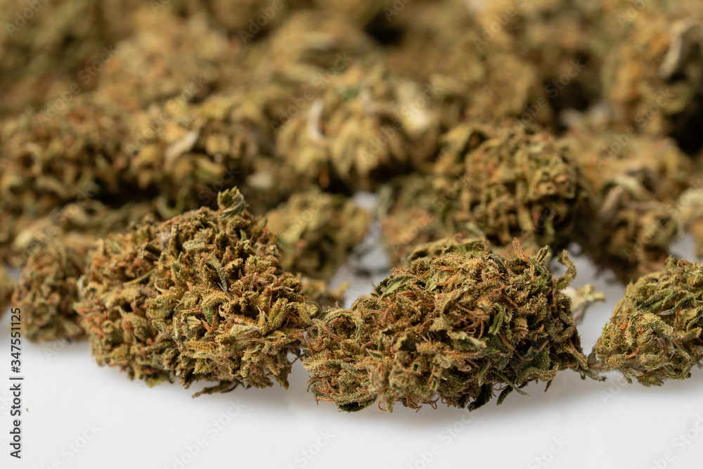 Fototapeta premium CBD - Legal marijuana