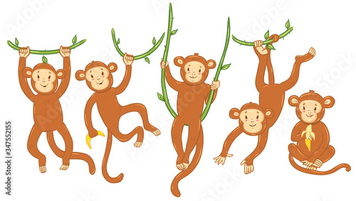 Set of cute monkeys isolated on a white background. Vector graphics.