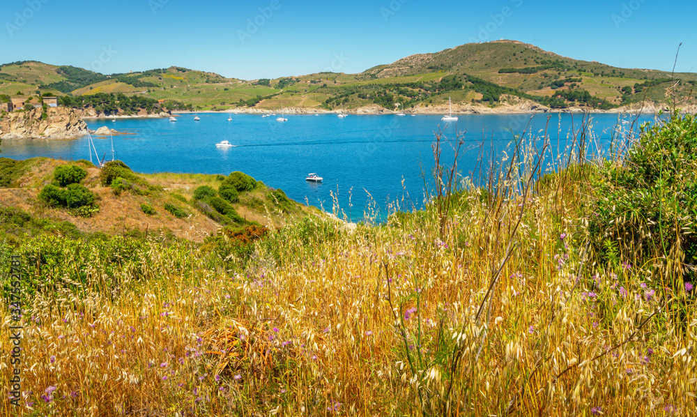 Fototapeta premium Le Site Classé de l'Anse de Paulilles,Occitanie.