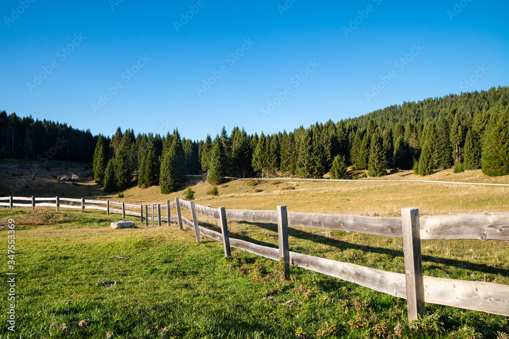 A rural fence with pastures in the Trentino Dolomites. Wooden boards aged by the sun and rain. An autumn day, the blue color dominates the cloudless sky. Spruce woods in the background. Italy