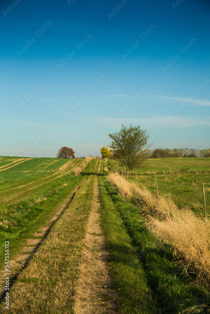 Rural Idyllic Landscape In Germany