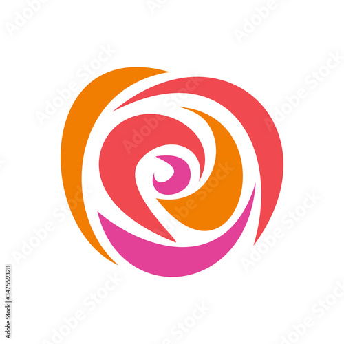 Multicolor rose, vector design isolated on white background.
