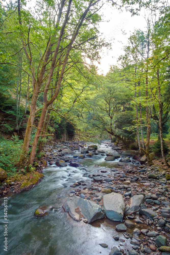 Landscape with mountain river flowing through the forest Landscape with mountain river flowing through the forest