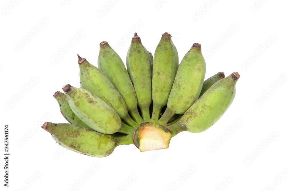 bunch of Raw green bananas fruit with dark spots on a white background bunch of Raw green bananas fruit with dark spots on a white background