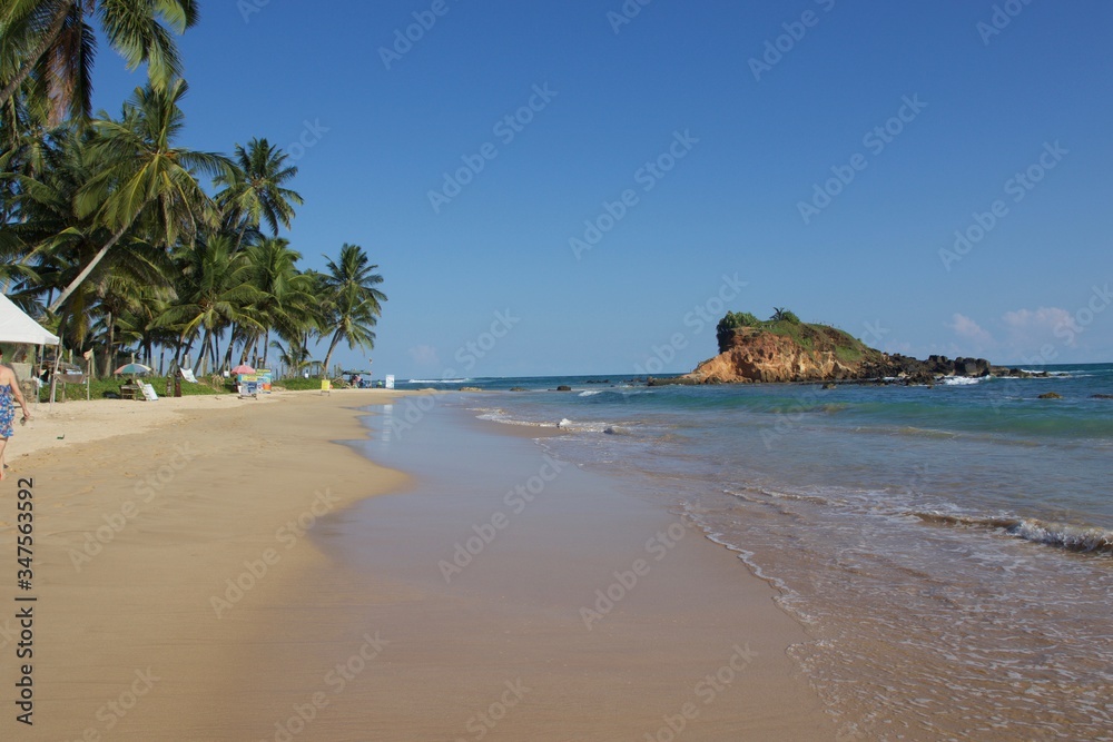 Obraz premium tropical beach with palm trees