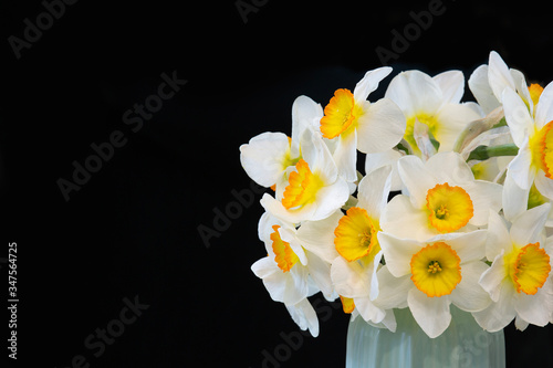 White daffodils bouquet on black background