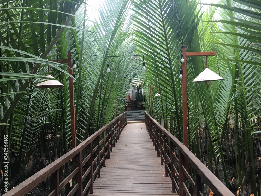 Obraz premium bridge in the park