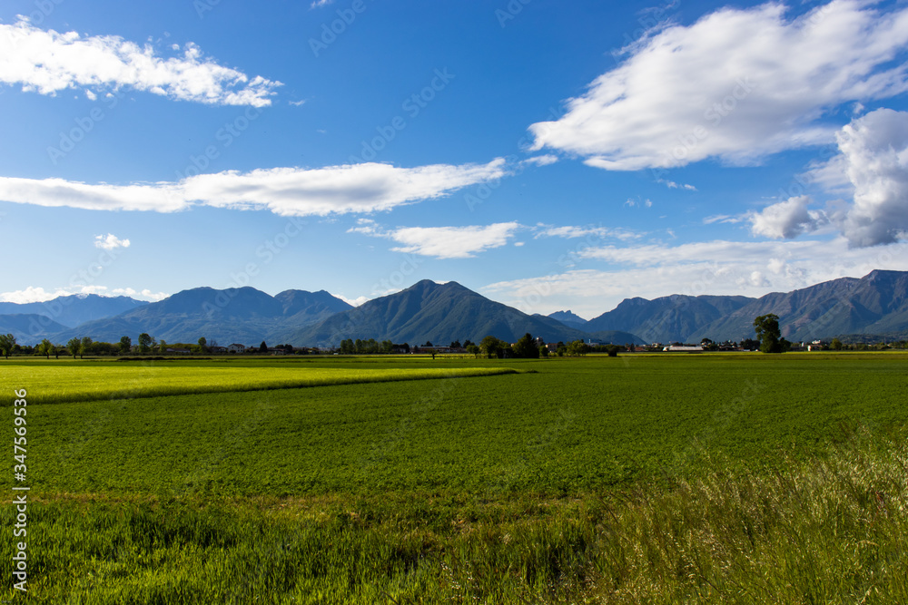 Italian Alps with landscape with green grass and blue sky