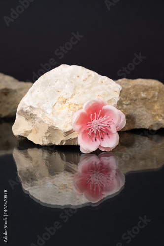 Still-life of an artificial almond flower  behind is a white marble stone  the composition is reflected against a dark glossy background.