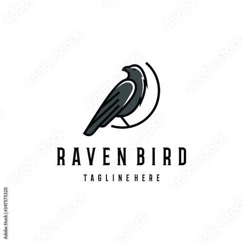 aven bird logo vector design. Awesome a raven logo. A raven bird logotype.