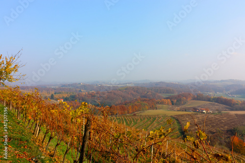 vineyard hilly landscape in autumn
Podravje, Slovenia