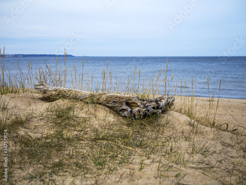 Baltic sea, Estonia