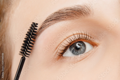 Master brushes eyebrows to woman in beauty salon. Correction of brow hair