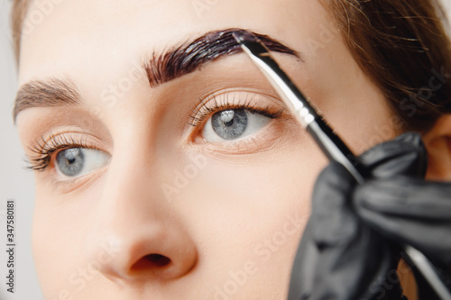 Master brush dye henna eyebrows woman in beauty salon. Correction of brow hair