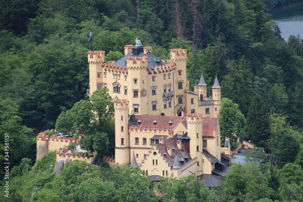Obraz premium Castle in the forest