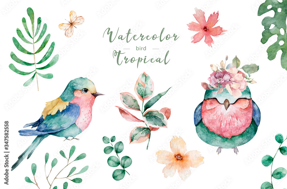 Beautiful floral exotic illustration with pink bird, tropical leaves. Hand drawn watercolor isolated on white background