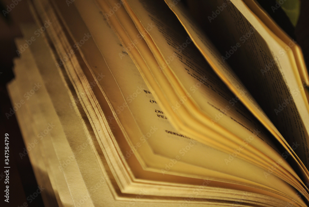 Book pages in the lamplight Book pages in the lamplight