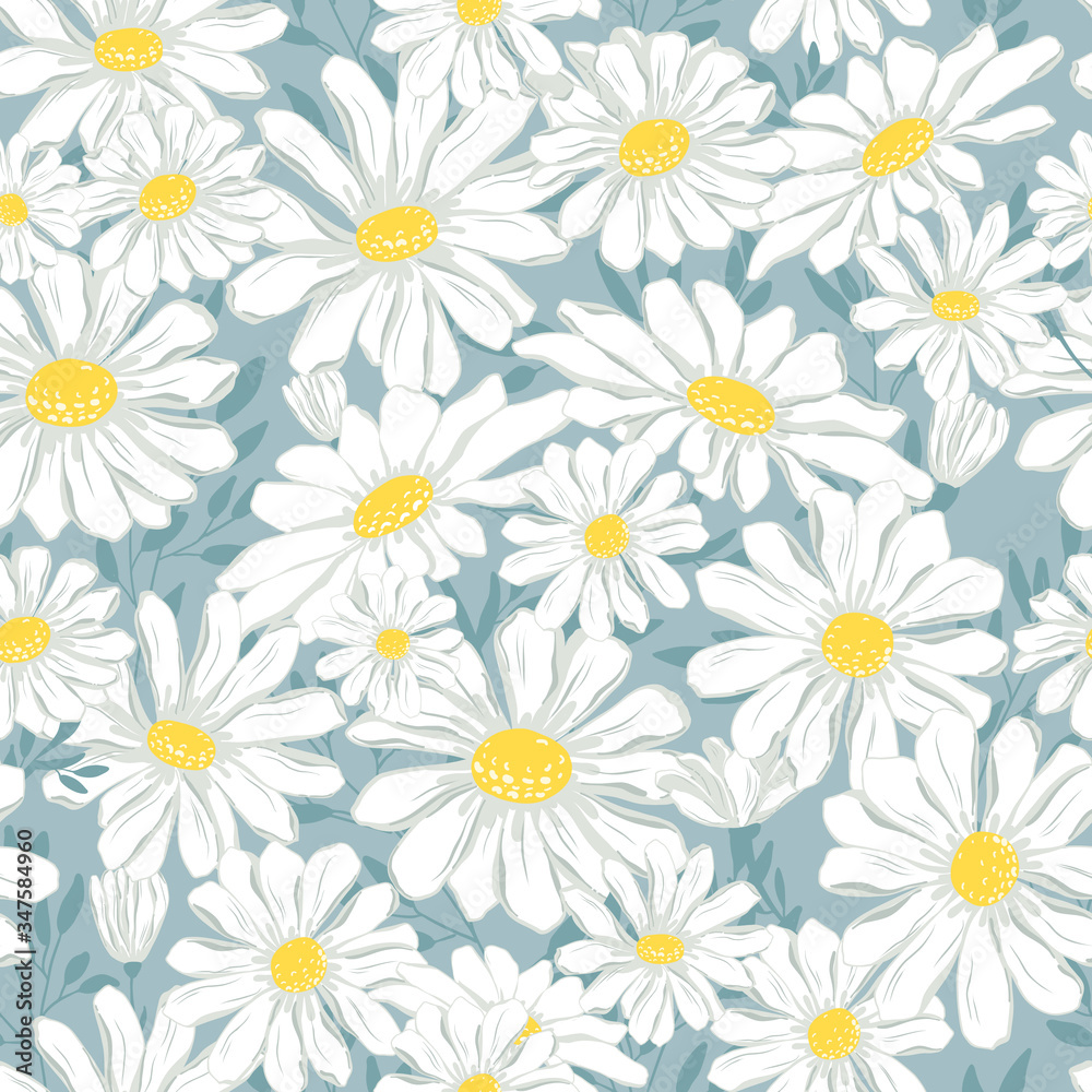 Chamomile seamless pattern. Vector illustration of endless flowers.