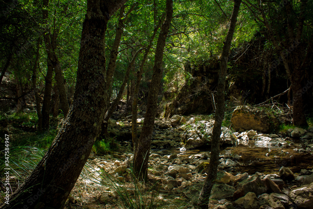 Nacimiento del río Guadalquivir. Nacimiento del río Guadalquivir.