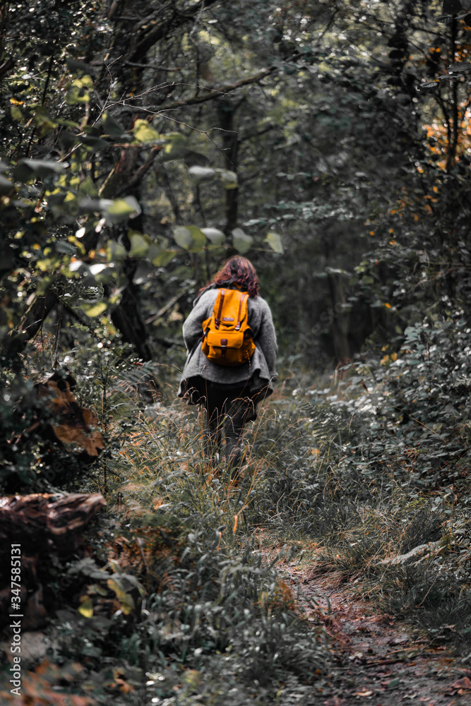 Woman explorer walking through the forest and woodland Woman explorer walking through the forest and woodland