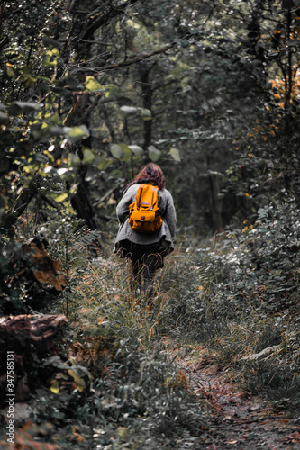 Woman explorer walking through the forest and woodland