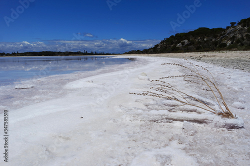 Salt covered coast