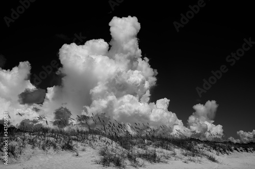 Large Cumulus clouds against a dramatic dark sky and sand dunes on a South Carolina Beach