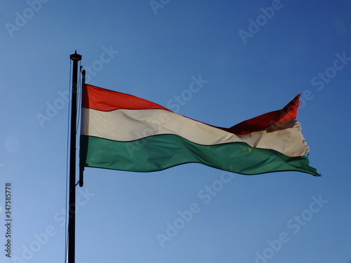Wallpaper Mural Low Angle View Of Hungarian Flag Against Clear Sky