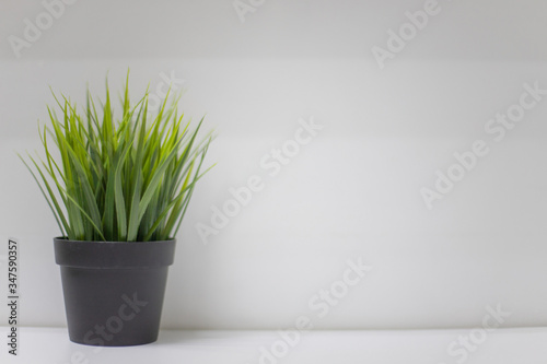 A black pot with artificial green grass on a shelf against a white wall background. Empty space for copying text.