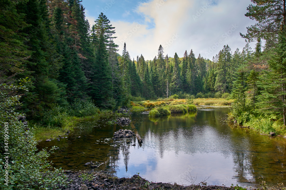 lake in the mountains