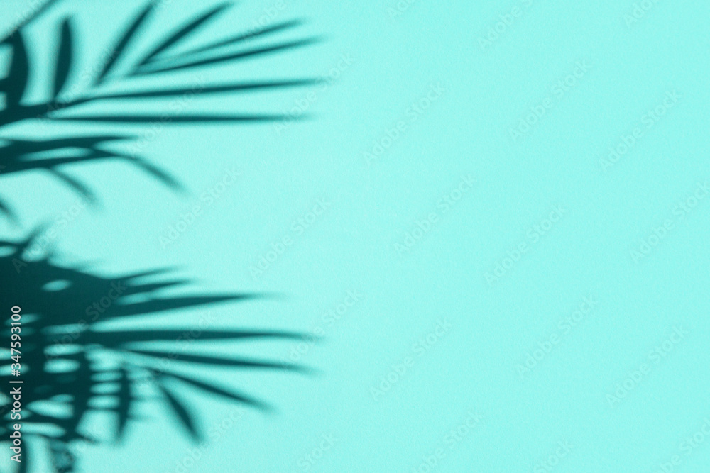 Silhouette flat lay abstract tropical leaf shadow on blue background. Top view. Natural pattern summer texture with copy space. Silhouette flat lay abstract tropical leaf shadow on blue background. Top view. Natural pattern summer texture with copy space.
