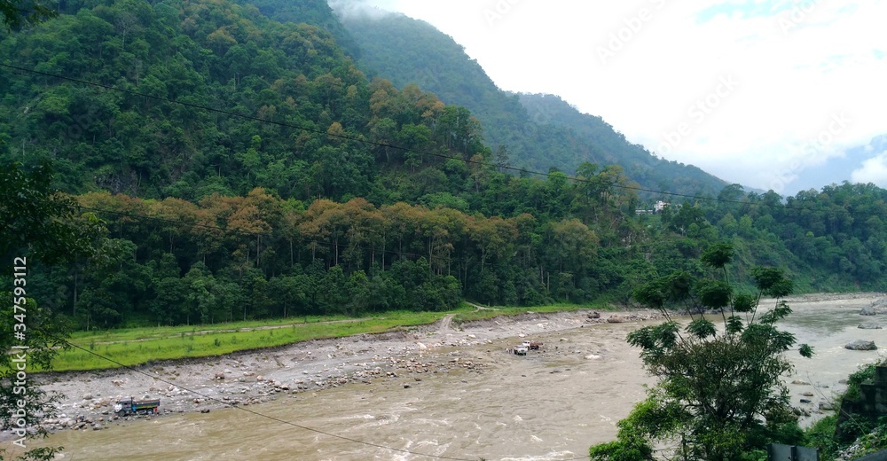 mountain forest and torrential river
