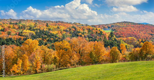 Fototapeta Naklejka Na Ścianę i Meble -  Brilliant golden fall colors in Vermont Countryside farm during Autumn near Woodstock