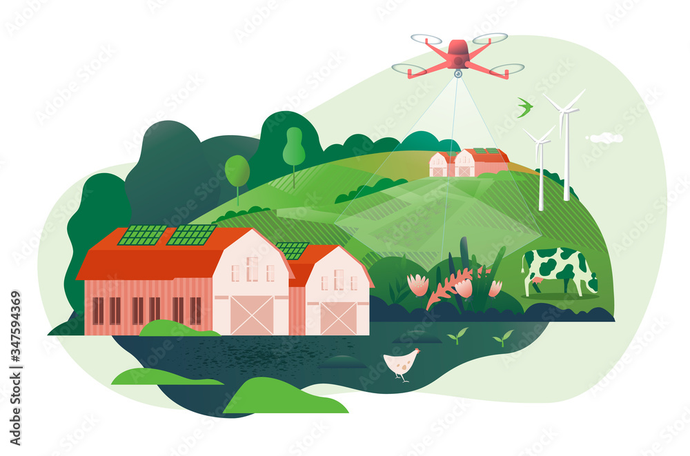 Vector Illustration of smart farm, ranch, agriculture, farming. Diagnostics of the state of wheat and rapeseed crops using unmanned aerial vehicles. High technologies and innovations.