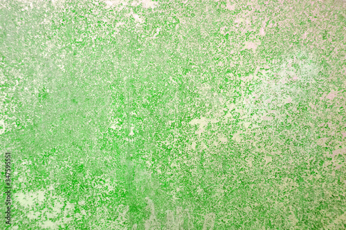 various colorful pictures to decorate your album or design