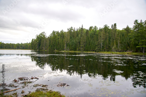 Fototapeta Naklejka Na Ścianę i Meble -  lake and forest