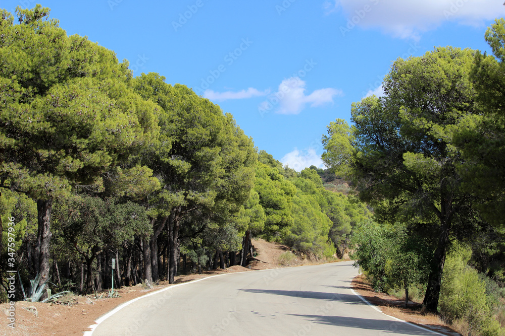 Paisaje del Parque Natural Montes de Málaga (Andalucía, España)