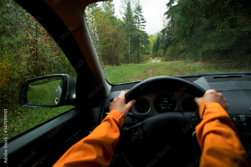 Driver dressed bright orange jacket driving a modern off road left hand drive LHD car on the mountain green forest country road. POV inside car windshield view point. Safely auto driving concept.