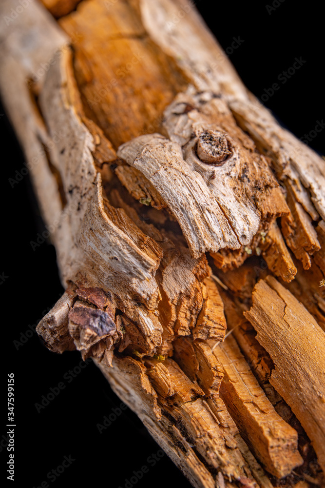 Decayed hardwood. Wood that is not suitable for use in carpentry. Decayed hardwood. Wood that is not suitable for use in carpentry.