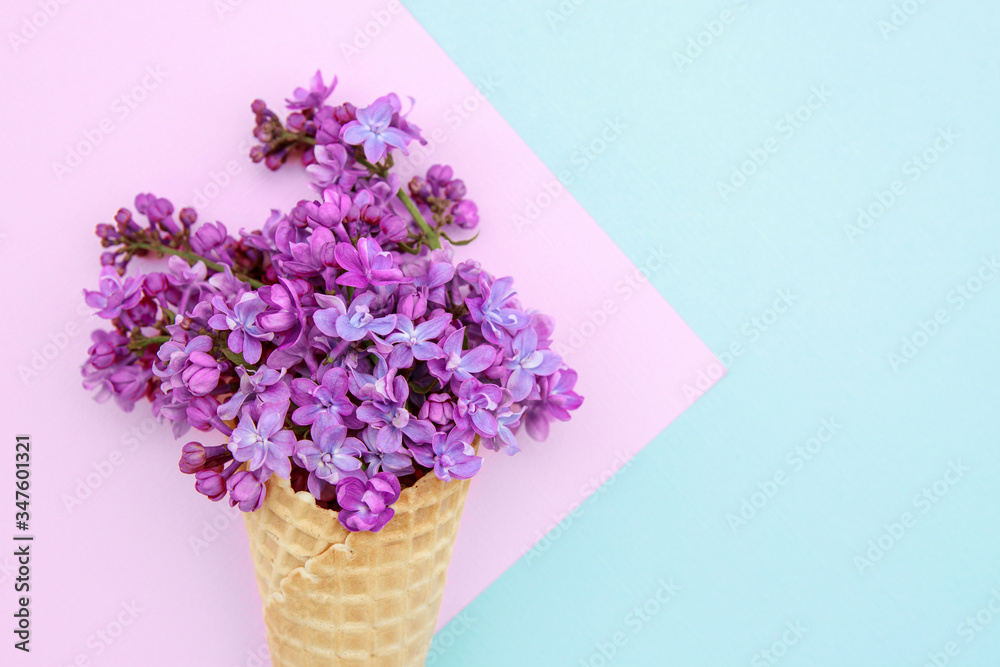 Lilac flowers in an ice cream cone on a pink-blue background. Spring composition.Flat lay, space for text. Valentine's day, mother's day, womens day concept.