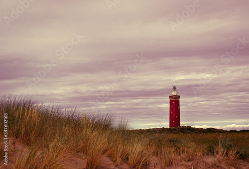 Leuchtturm Nordsee Holland photo