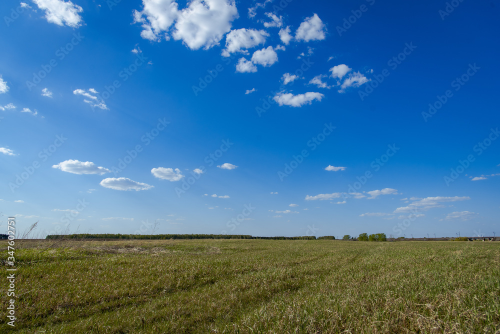 Blue sky with clouds and a green field