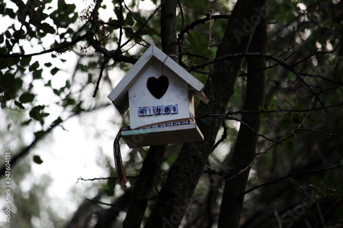 Casa para pájaros en el bosque